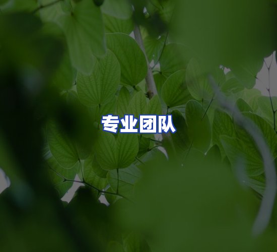 现代化资料管理中心